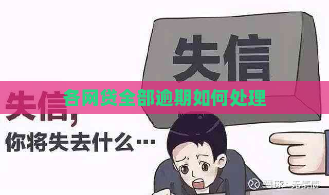 各网贷全部逾期如何处理