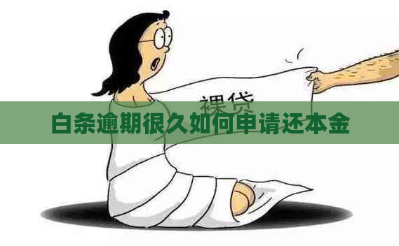 白条逾期很久如何申请还本金