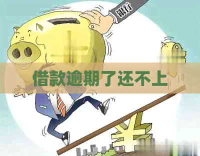 借款逾期了还不上