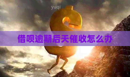 信用卡逾期后天怎么办