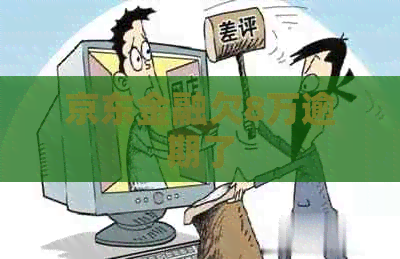 京东金融欠8万逾期了