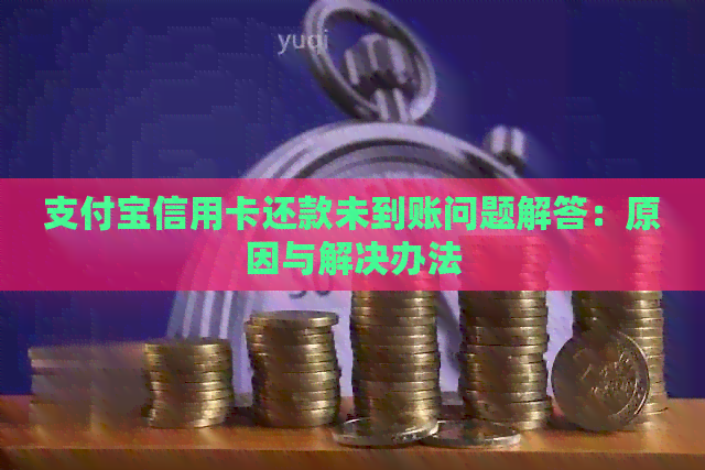 支付宝信用卡还款未到账问题解答：原因与解决办法