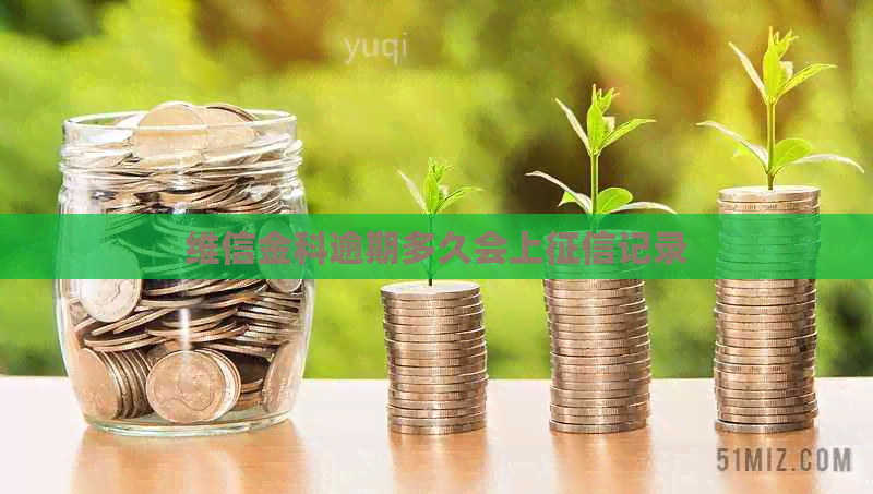 维信金科逾期多久会上记录