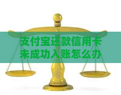 支付宝还款信用卡未成功入账怎么办？解决办法资讯一览