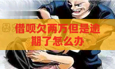信用卡欠两万但是逾期了怎么办