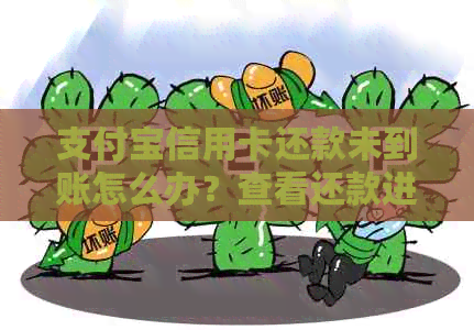 支付宝信用卡还款未到账怎么办？查看还款进度和解决方法