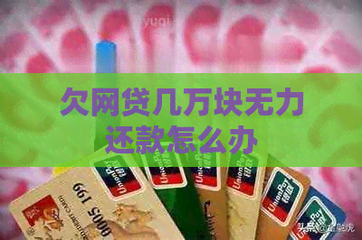 欠网贷几万块无力还款怎么办