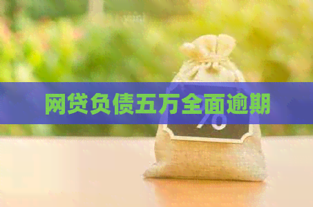 网贷负债五万全面逾期