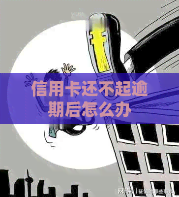 信用卡还不起逾期后怎么办