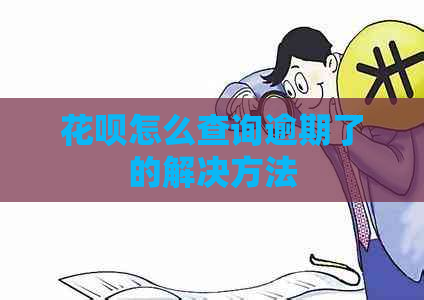 白条怎么查询逾期了的解决方法