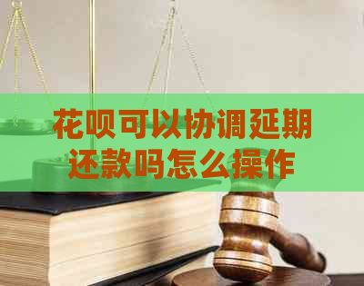 白条可以协调延期还款吗怎么操作