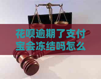 白条逾期了信用卡会冻结吗怎么解决