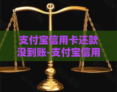 支付宝信用卡还款没到账-支付宝信用卡还款没到账怎么办