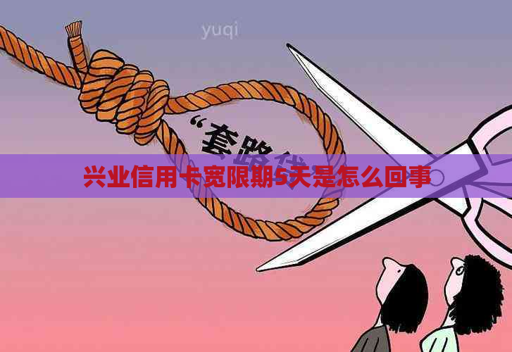 兴业信用卡宽限期5天是怎么回事