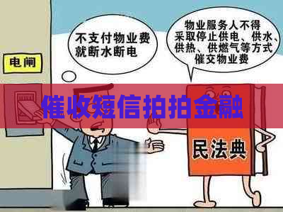 短信拍拍金融
