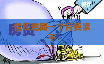借呗逾期一个月要紧不