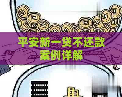 平安新一贷不还款案例详解