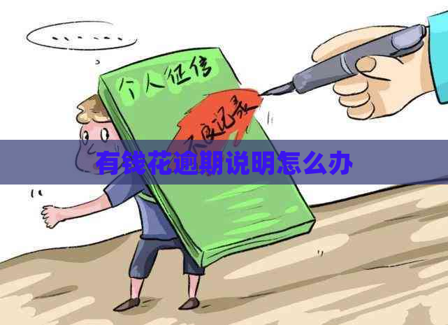 有钱花逾期说明怎么办