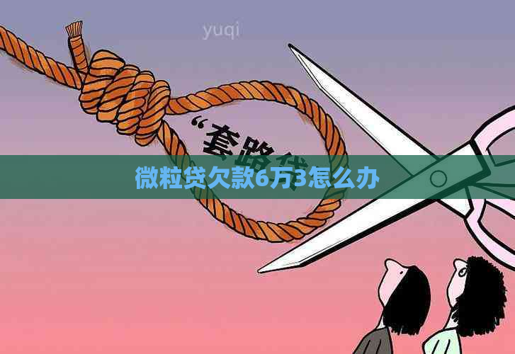 微粒贷欠款6万3怎么办