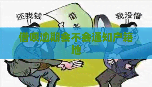 信用卡逾期会不会通知户籍地