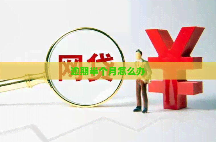 逾期半个月怎么办