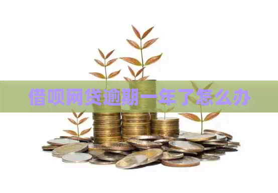 信用卡网贷逾期一年了怎么办