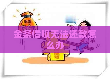 金条借呗无法还款怎么办