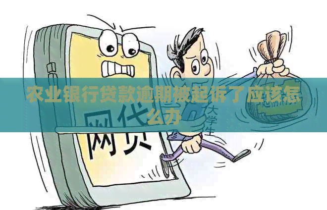 农业银行贷款逾期被起诉了应该怎么办