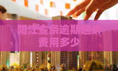 阳江金条逾期起诉费用多少