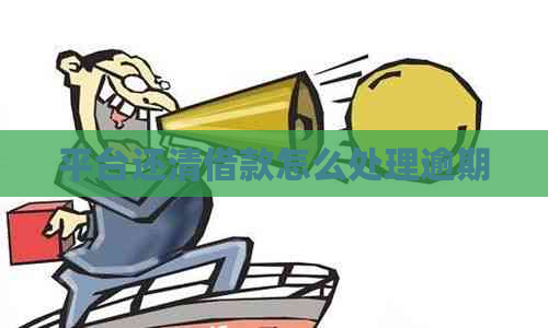平台还清借款怎么处理逾期