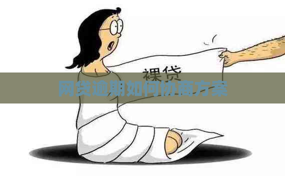 网贷逾期如何协商方案