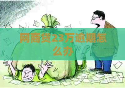 白条贷23万逾期怎么办