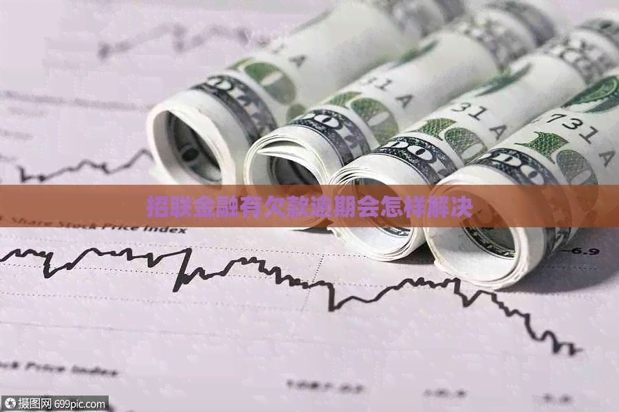 招联金融有欠款逾期会怎样解决