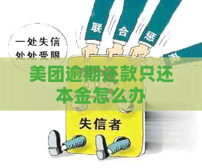 美团逾期还款只还本金怎么办