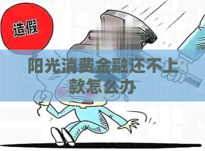 阳光消费金融还不上款怎么办