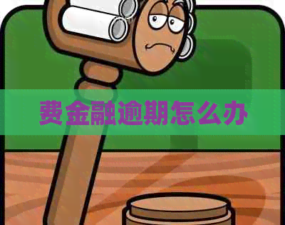 费金融逾期怎么办