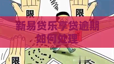 新易贷乐享贷逾期如何处理