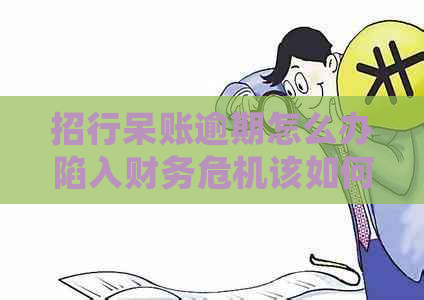 招行呆账逾期怎么办陷入财务危机该如何处理