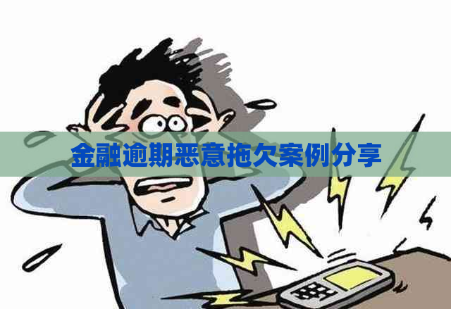 金融逾期恶意拖欠案例分享