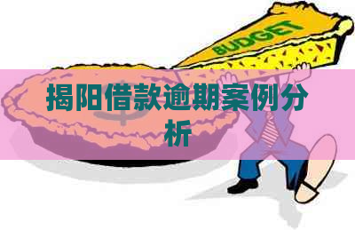 揭阳借款逾期案例分析