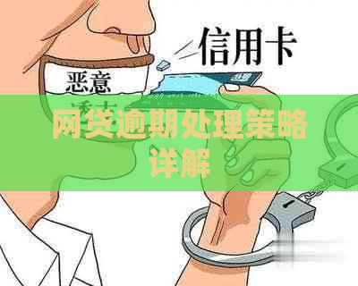 网贷逾期处理策略详解