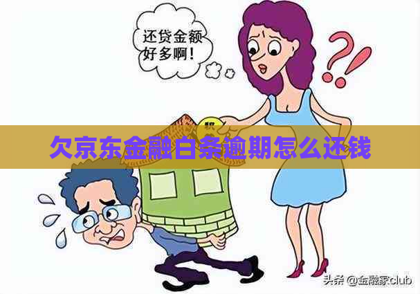 欠京东金融白条逾期怎么还钱