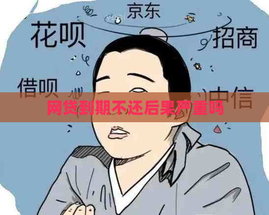 网贷到期不还后果严重吗