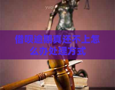信用卡逾期真还不上怎么办处理方式