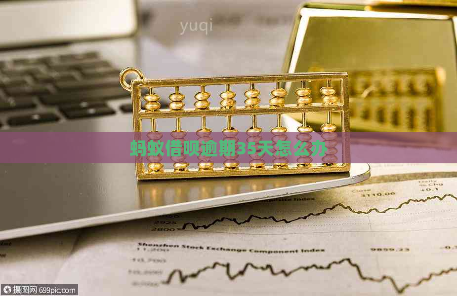 蚂蚁信用卡逾期35天怎么办