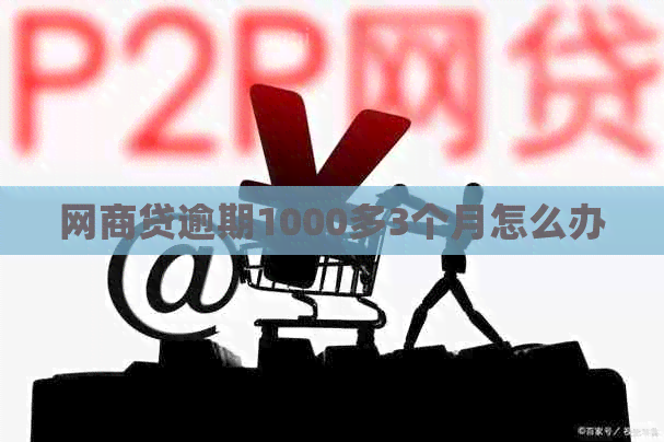 白条贷逾期1000多3个月怎么办