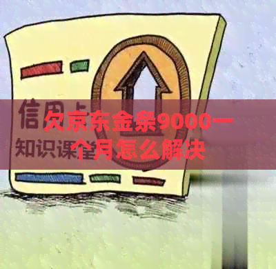 欠京东金条9000一个月怎么解决