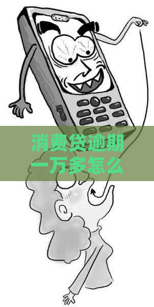 消费贷逾期一万多怎么办