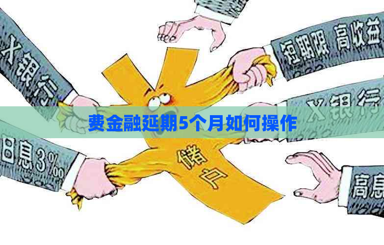 费金融延期5个月如何操作