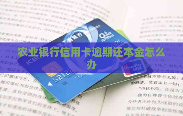 农业银行信用卡逾期还本金怎么办